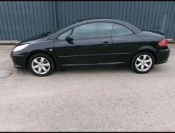 Peugeot 307 CC HDI 136 BVM 03-Allier