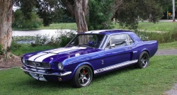 Annonce 433977338/1966MUSTANG_MONI picto4