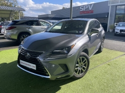 Lexus NX PHASE 2 5 300H 197 LUXE 49-Maine-et-Loire