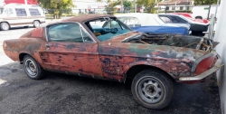 Ford Mustang fastback resto 76-Seine-Maritime