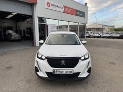 Peugeot 2008 110CV ACTIVE BUSINESS 30-Gard