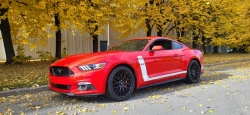 Ford Mustang GT V8 5,0L PACK BREMBO 33-Gironde