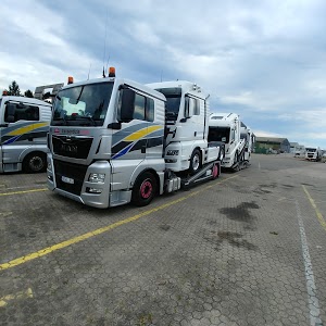 N.T.P (Nueno Trucks Pyrénées)