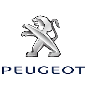 GARAGE DU PARC - PEUGEOT