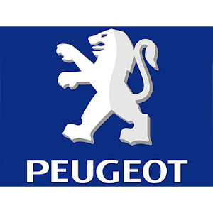 Garage Peugeot Lille d'Esquermes