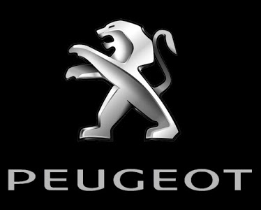 DIAGAUTO SERVICE - PEUGEOT