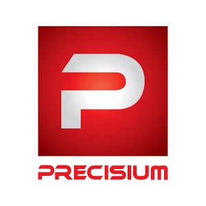 PRECISIUM Garage Gesnouin Automobiles photo1